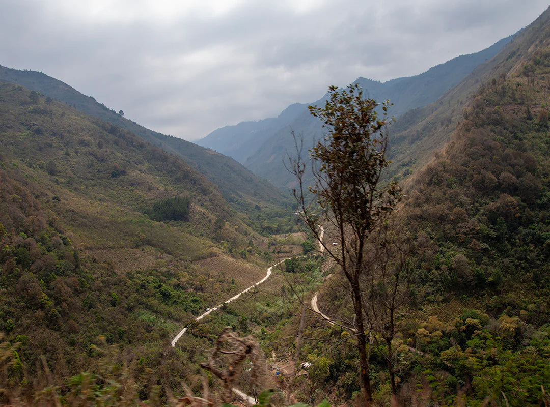 【予約販売|1/15頃発送予定】Yichkuh / Guatemala