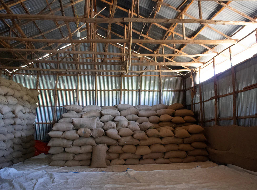 【予約販売|3/5頃発送予定】Werka / Ethiopia (Espresso roast)