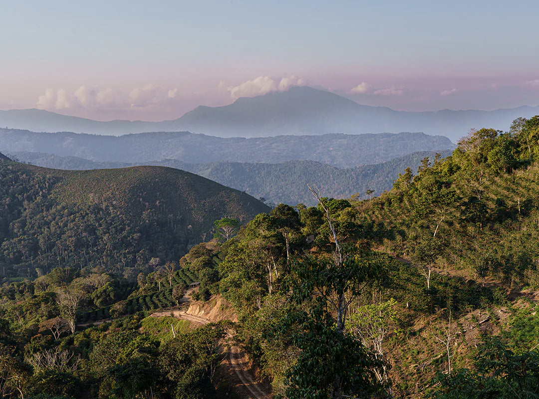 【予約販売|1/15頃発送予定】Las Alasitas / Bolivia