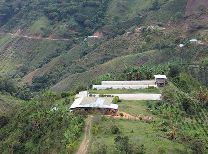 【20% OFF!】 El Carmen / Colombia