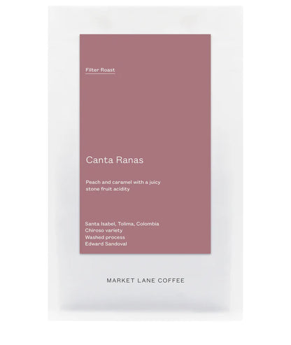 【予約販売｜3/5頃発送予定】 Canta Ranas / Colombia