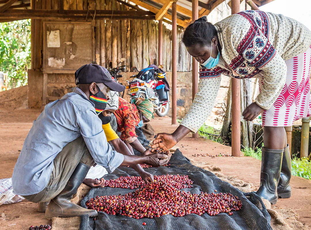 【予約販売 | 3/5頃発送予定】Ichuga / Kenya