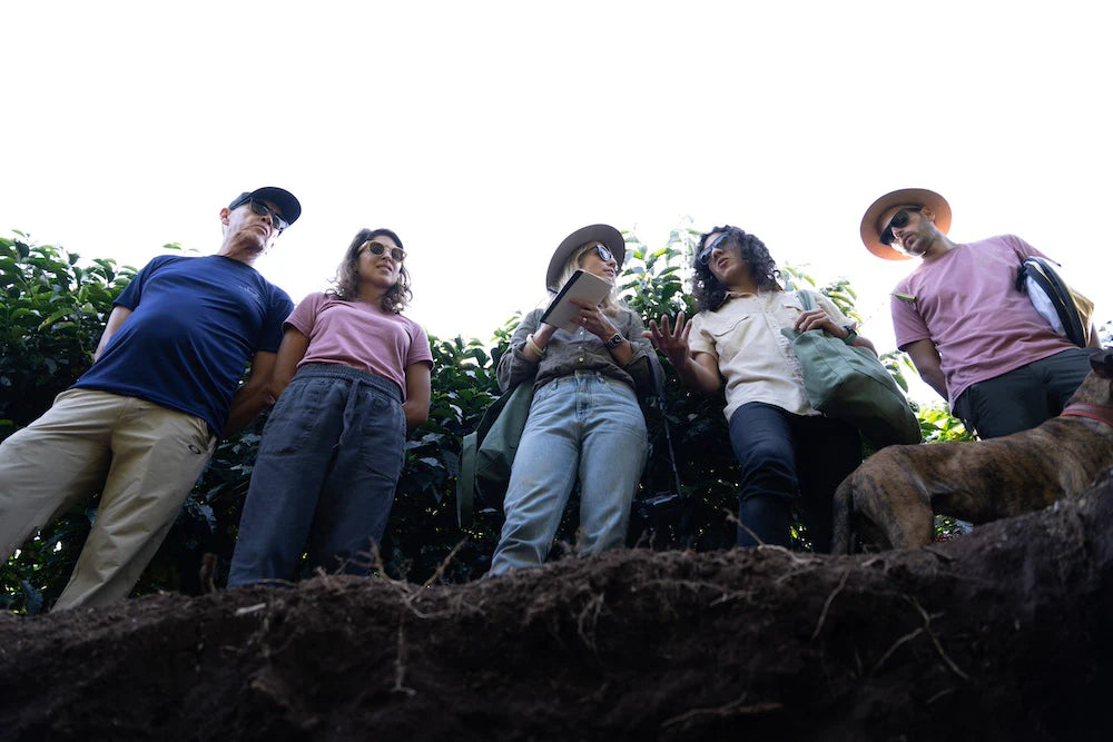 【予約販売｜1/15頃発送予定】Las Alasitas / Bolivia