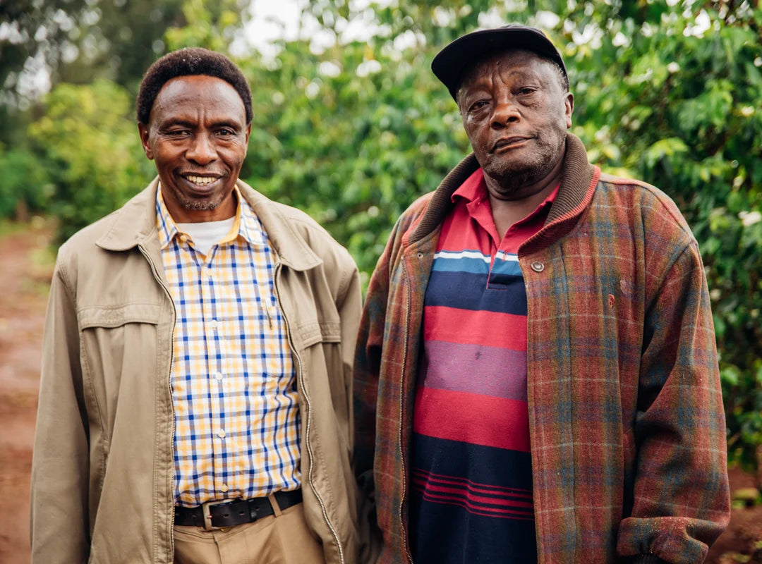 【予約販売｜9/5 頃発送予定】Ndocha / Kenya