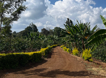 Mutura/ Kenya