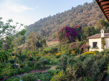 【予約販売｜11/14頃発送予定】Hacienda Carmona / Guatemala