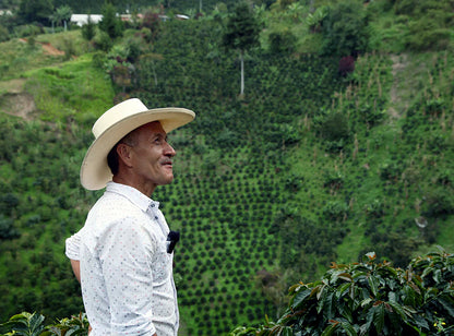 【予約販売｜6/1 頃発送予定】El Faldón / Colombia