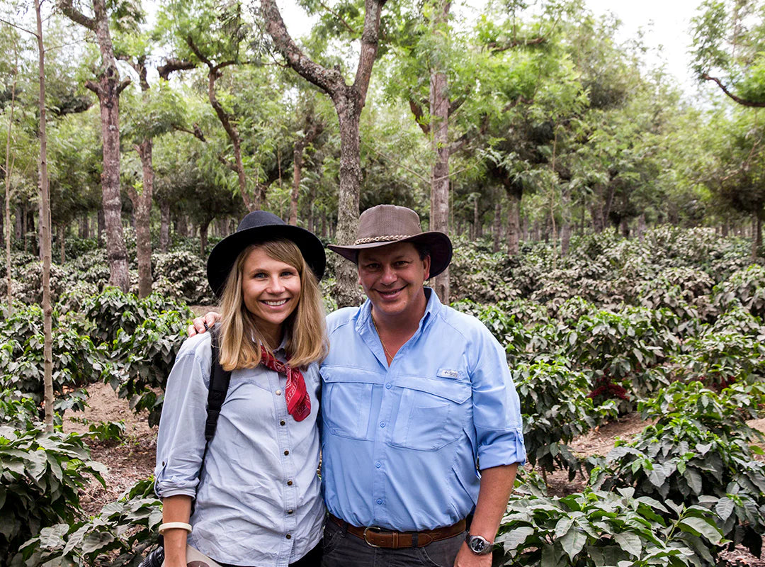 【予約販売｜11/14頃発送予定】Hacienda Carmona / Guatemala