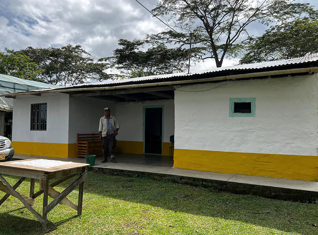 【予約販売｜11/14頃発送予定】El Porvenir / Colombia