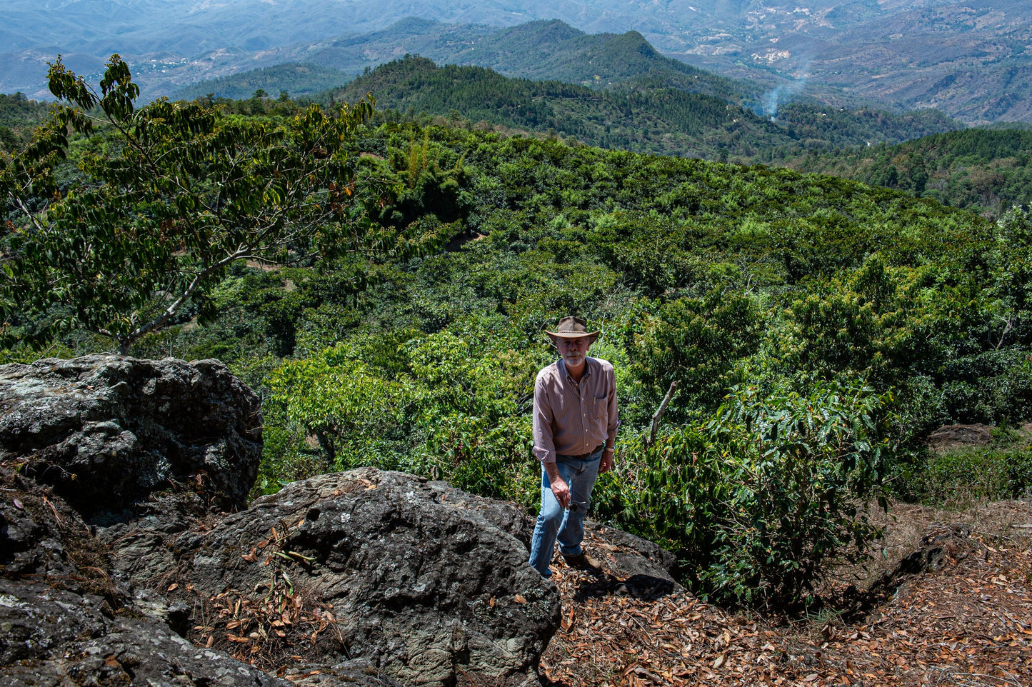 【予約販売｜11/14頃発送予定】Seasonal Blend