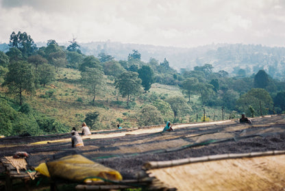 【予約販売｜11/14頃発送予定】Seasonal Blend