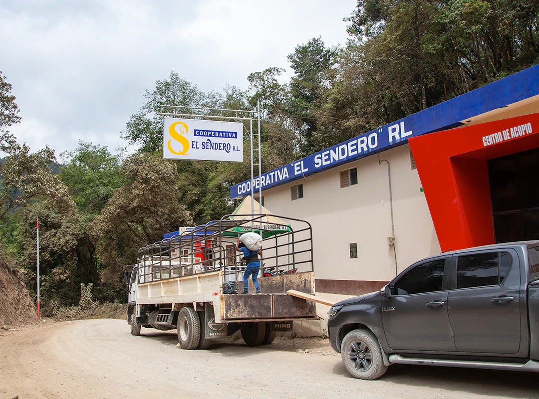 【予約販売｜1/15頃発送予定】Yichkuh / Guatemala