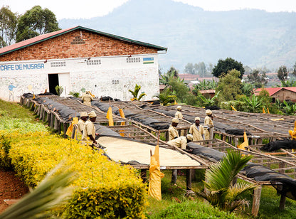 【予約販売｜4/1 頃発送予定】 Seasonal Blend