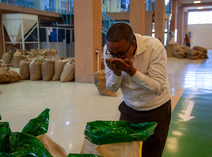 【予約販売｜3/5頃発送予定】Ayla / Ethiopia