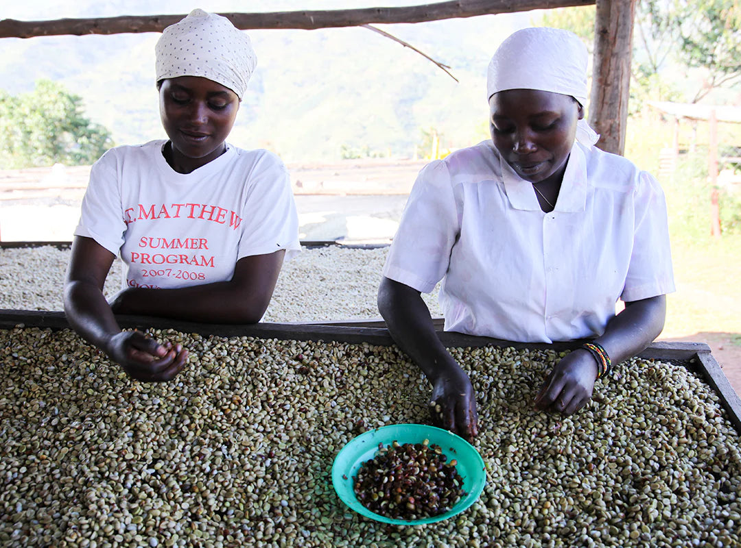 【予約販売｜1/15頃発送予定】Ruli / Rwanda