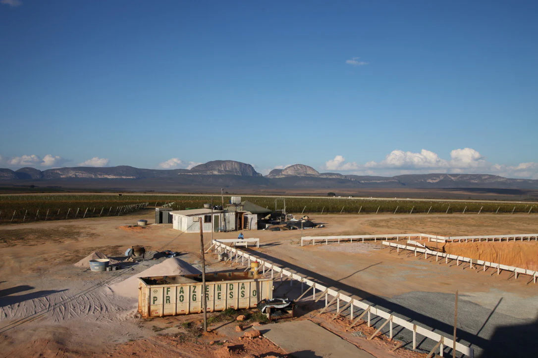 【予約販売｜4/1 頃発送予定】 Seasonal Blend