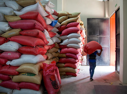 【予約販売｜1/15頃発送予定】Yichkuh / Guatemala