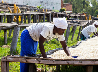 【予約販売｜1/15頃発送予定】Ruli / Rwanda