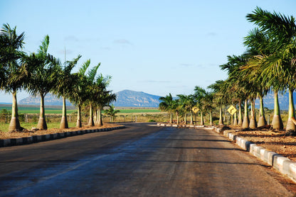 【予約販売｜4/1 頃発送予定】 Seasonal Blend