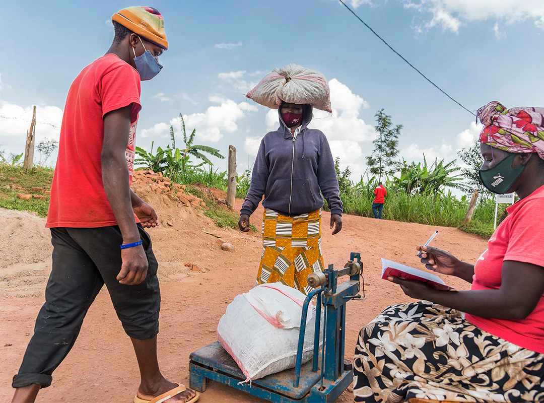 【予約販売｜3/5頃発送予定】 Seasonal Blend